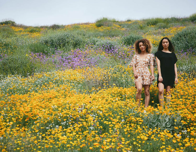 A Floral Story - Whimsy & Row