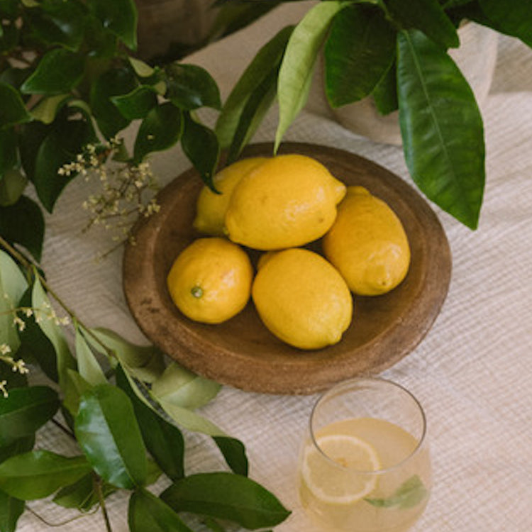 Lemon Party 🍋 Pasta Salad Potluck Recap - Whimsy & Row