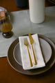 Napkins set of 4 in White Linen