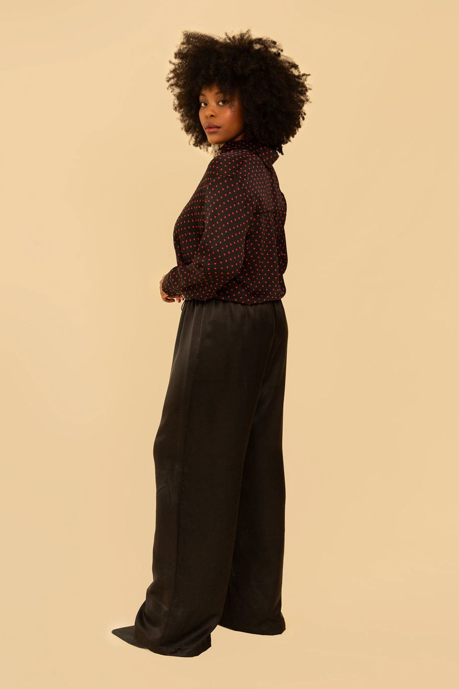 Raffa Pants in Black Silky