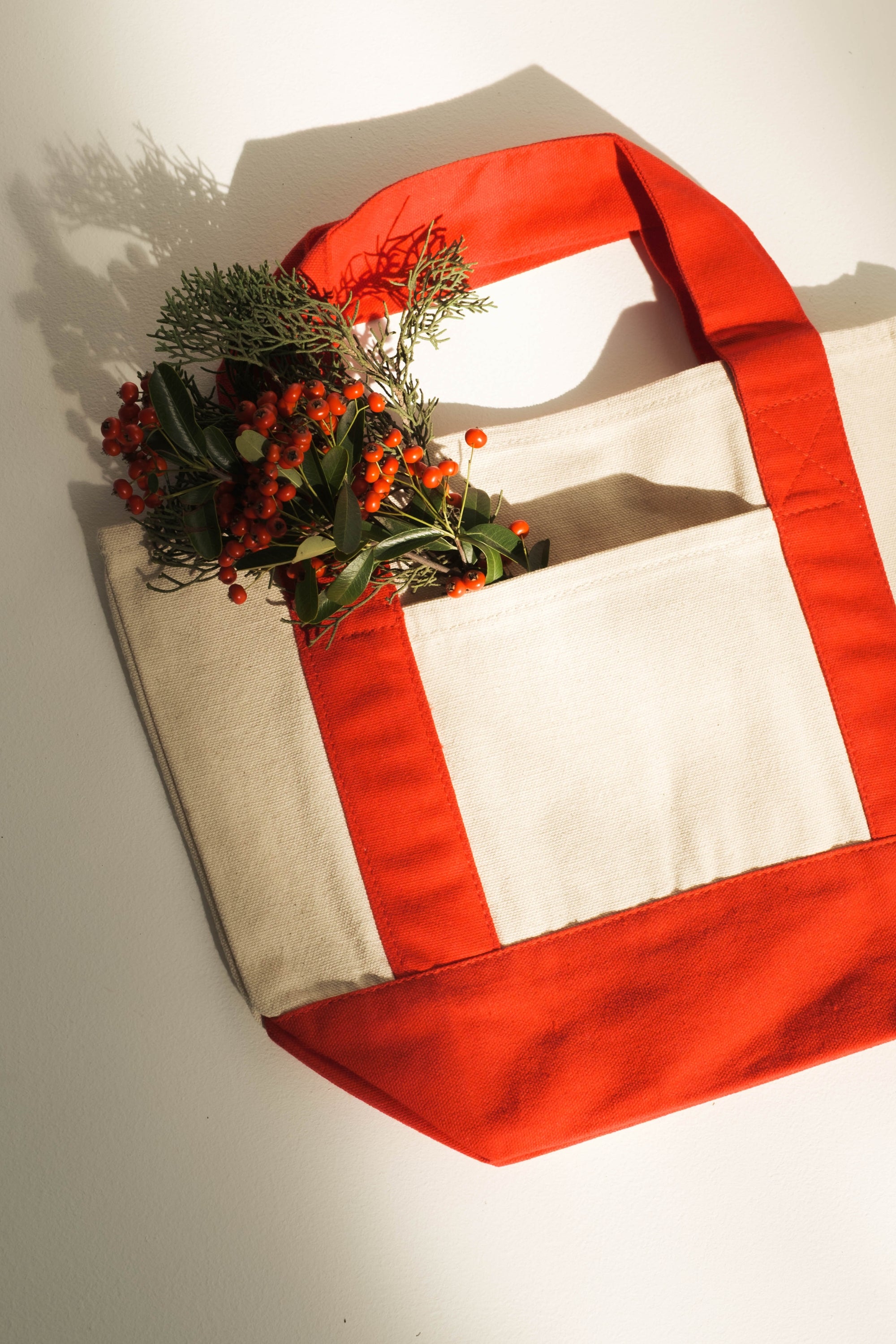 Mini Tote in Red - Whimsy & Row