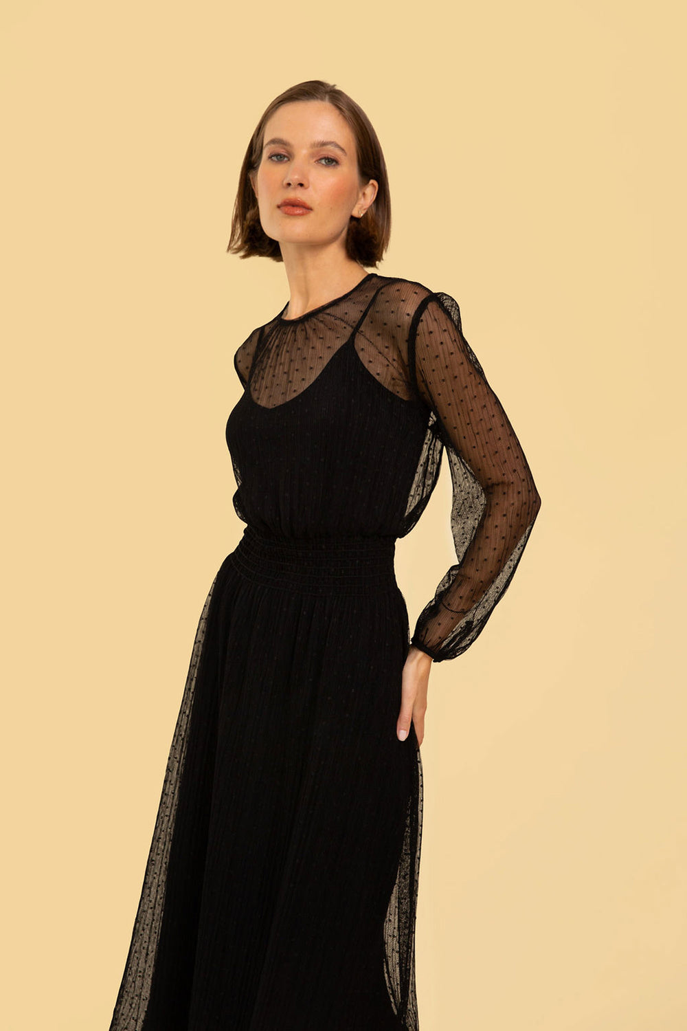 Greta Dress in Black Sheer Polka Dot - Whimsy & Row