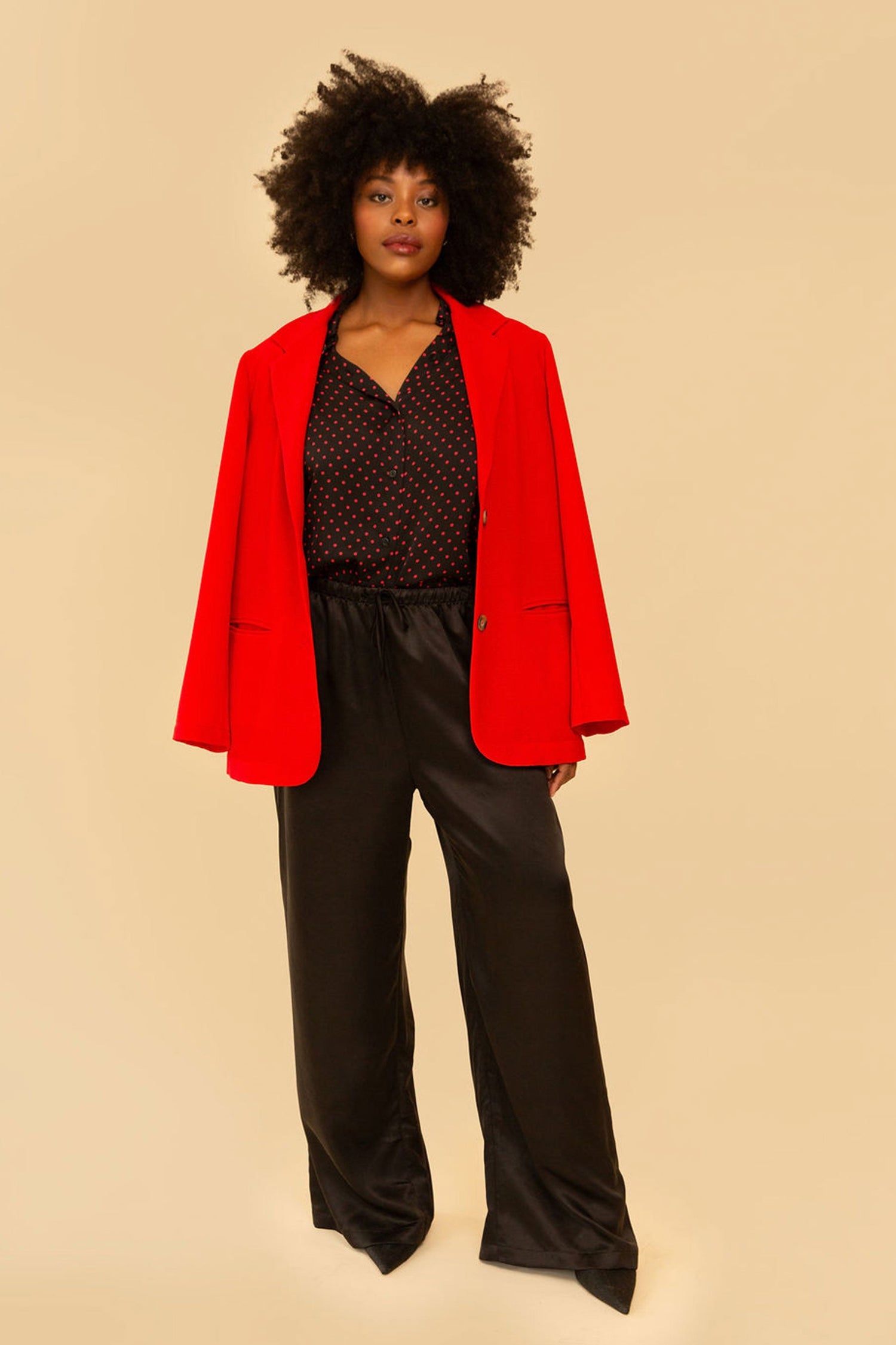 Raffa Pants in Black Silky