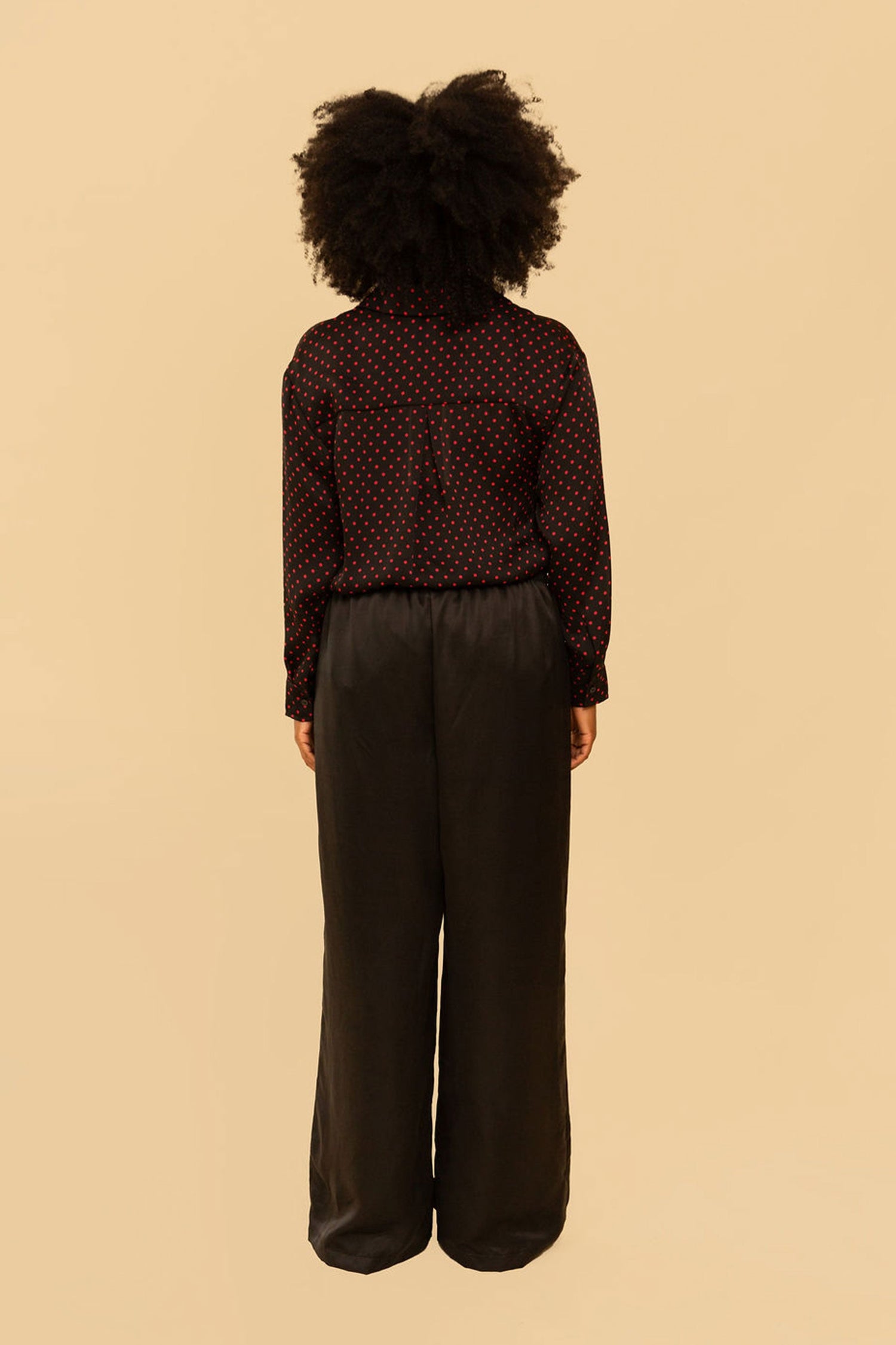 Raffa Pants in Black Silky