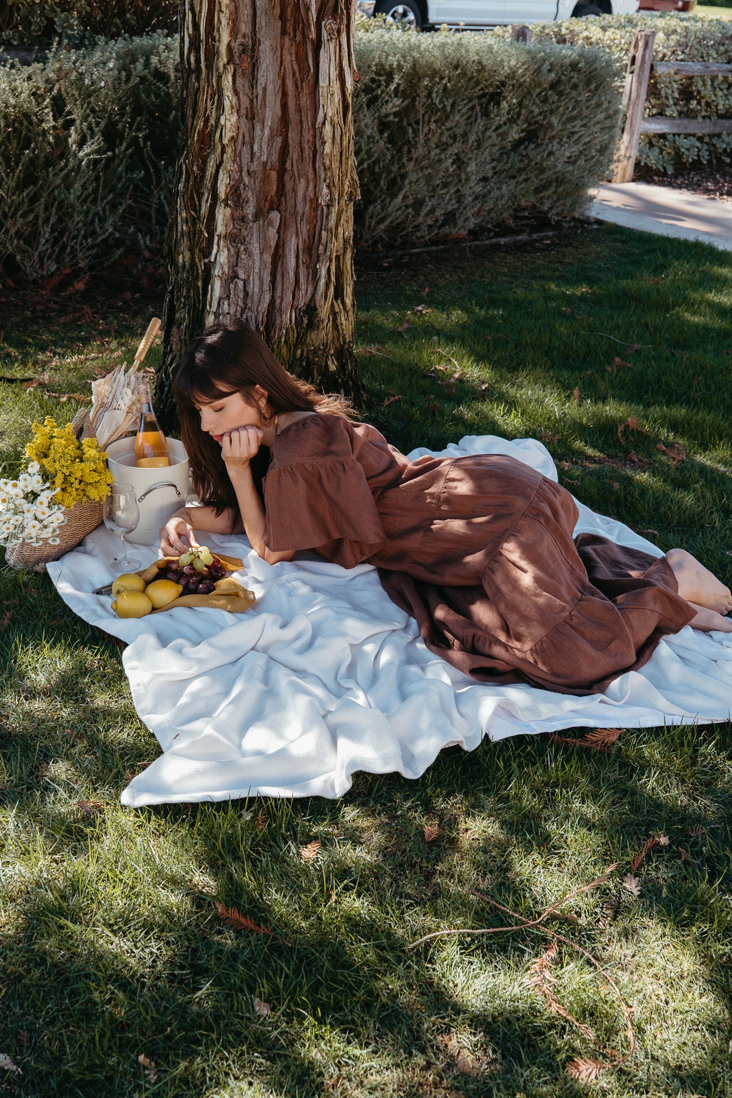 Rachel Dress in Chocolate Linen