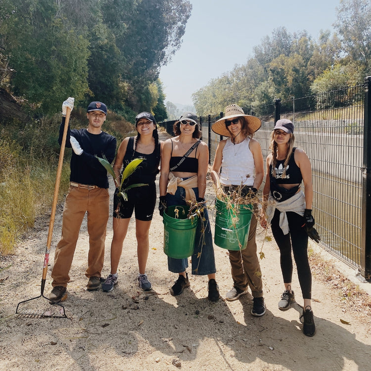 Pay it Forward… - Whimsy & Row