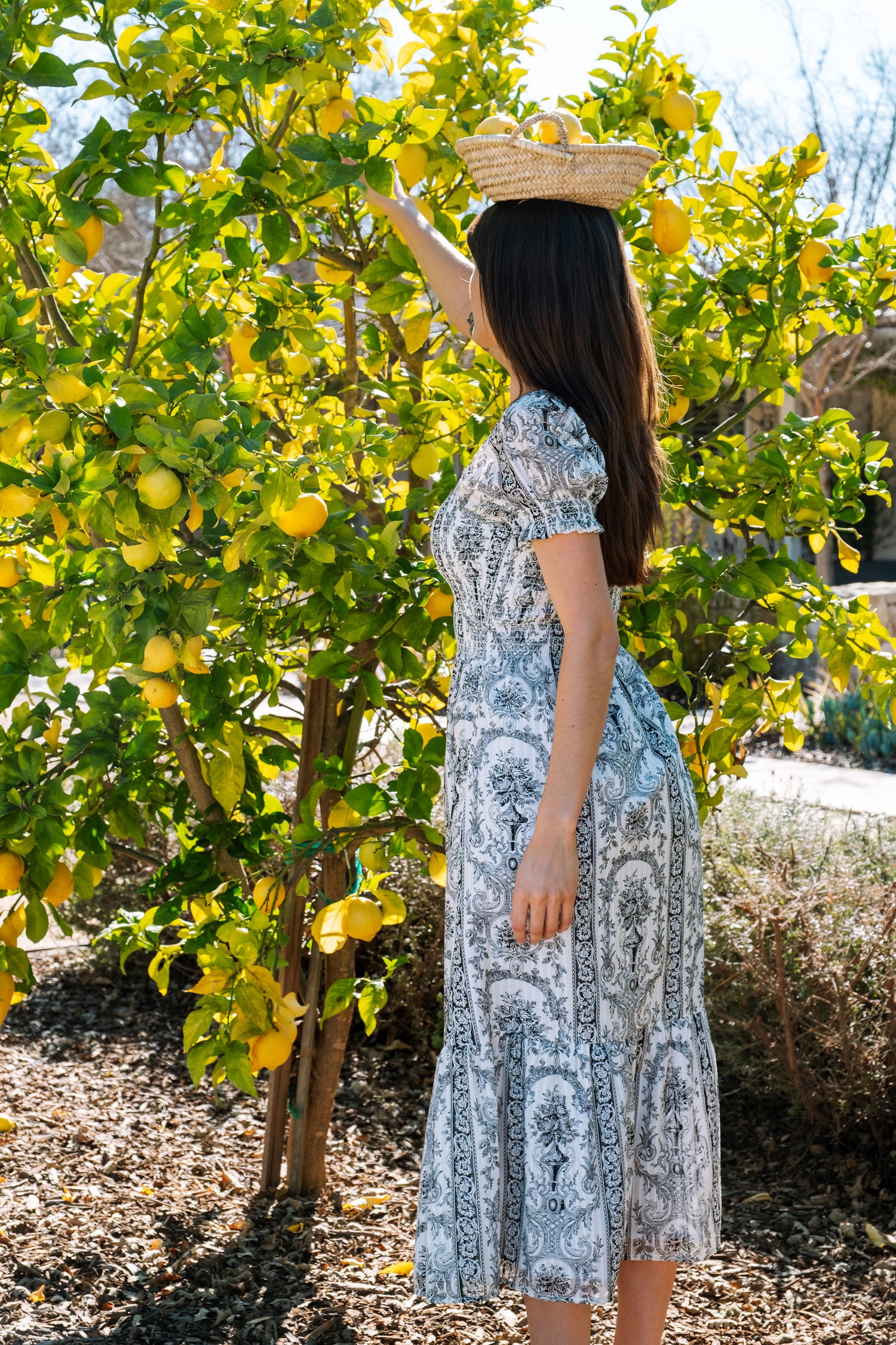 Harper Dress in Venetian Print