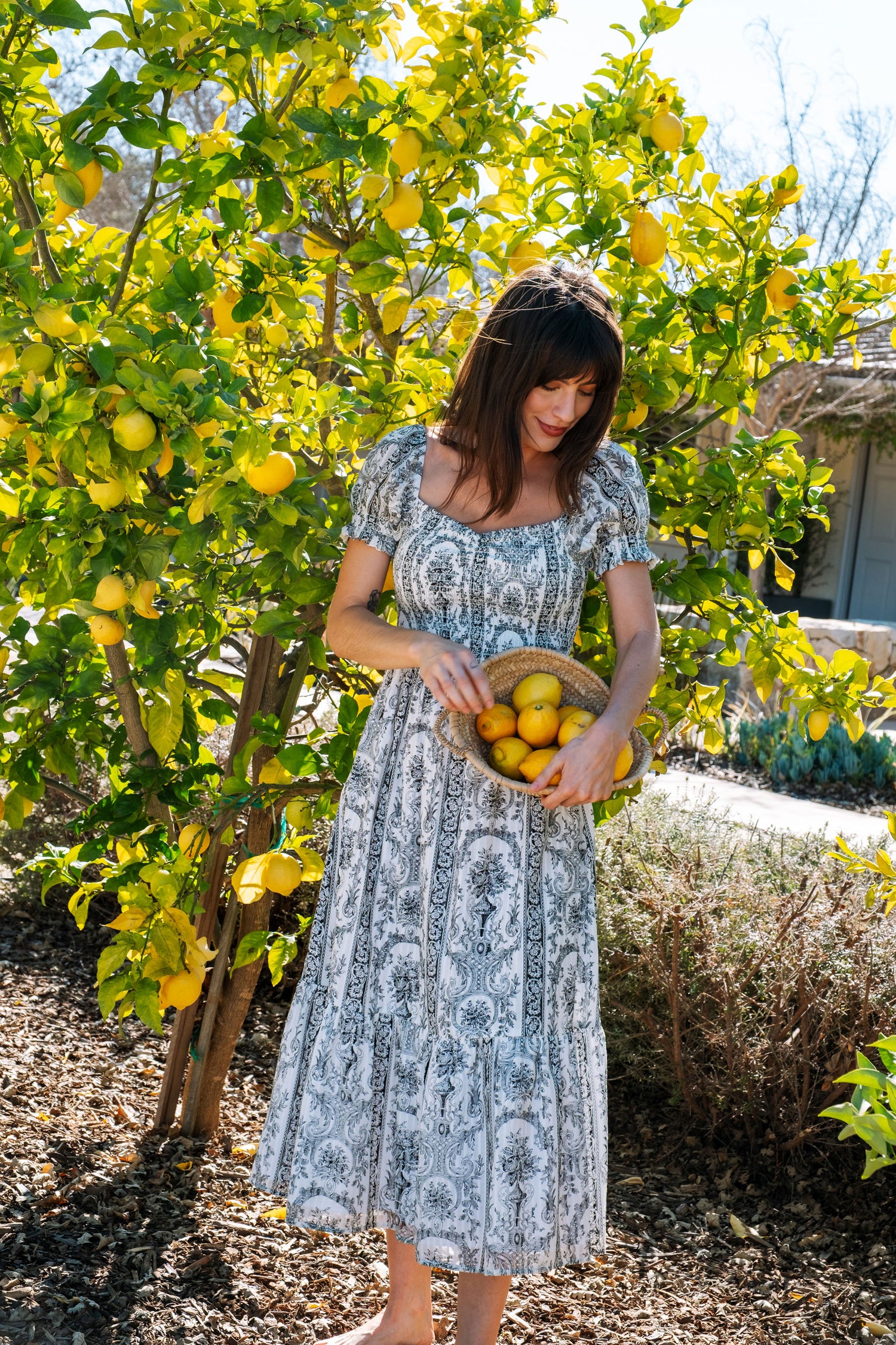 Harper Dress in Venetian Print