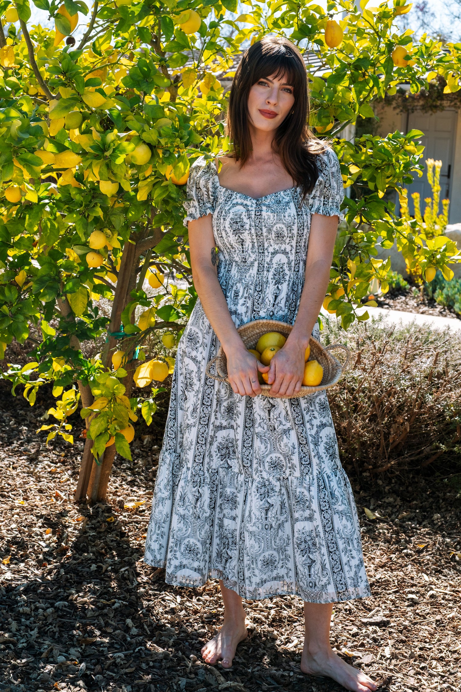 Harper Dress in Venetian Print
